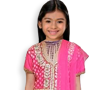 Indian Pink Sari