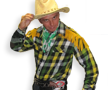 Maverick Cowboy